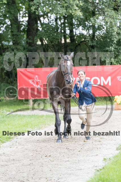 FEI European Championship