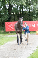 FEI European Championship
