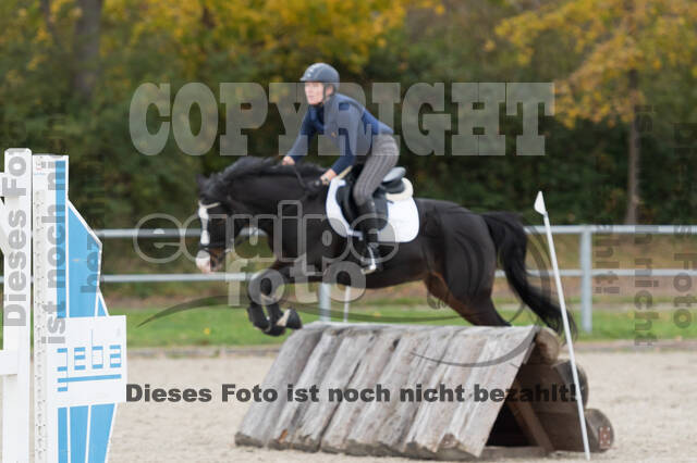 IGV Lehrgang der Sieger der Cups mit Frank Ostholt
