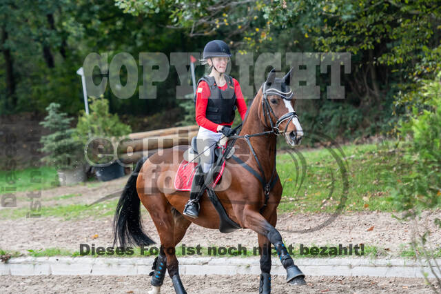 Goldene Schärpe 2020 - Pferde