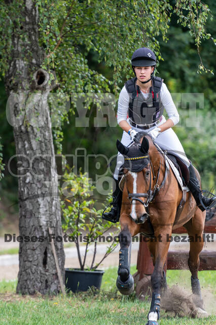Late-Entry-Vielseitigkeit Langenfeld (11.+13./14.06.2020)