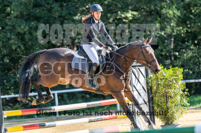 RFV Dinslaken-Hiesfeld (Herbstturnier)