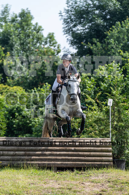 Goldene Schärpe 2021 - Ponys