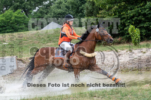 Late-Entry-Vielseitigkeit Langenfeld (11.+13./14.06.2020)