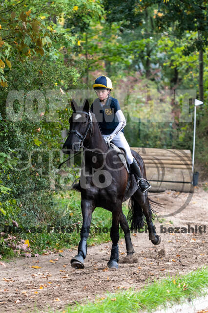 Goldene Schärpe 2020 - Pferde