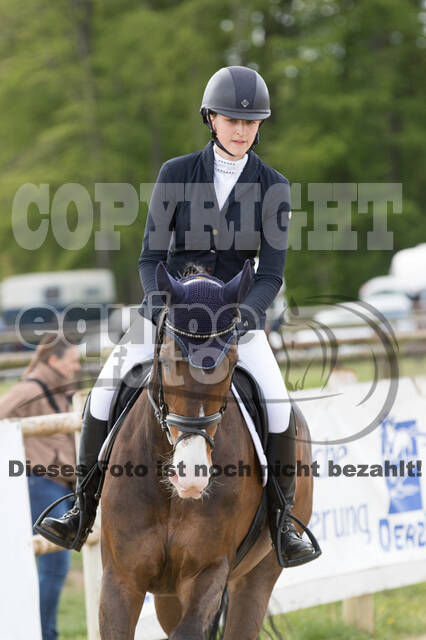 Sterne über Münster 2019 - CCI***S