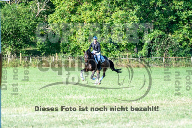 Bonn-Rodderberg Late-Entry-Vielseitigkeit (30.06.2020)