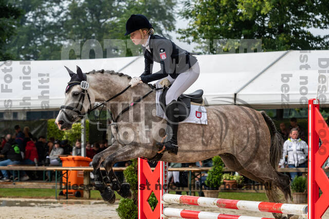 Goldene Schärpe 2021 - Ponys