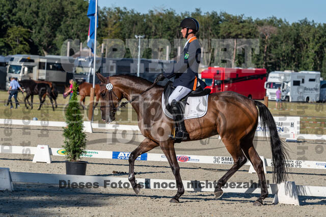 Kronenberg - De Peelbergen (August 2020)