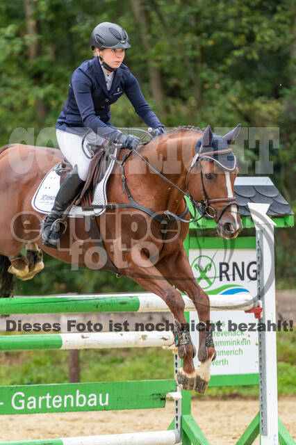 Vielseitigkeit RSV Wesel Obrighoven (26.+27.09.2020)