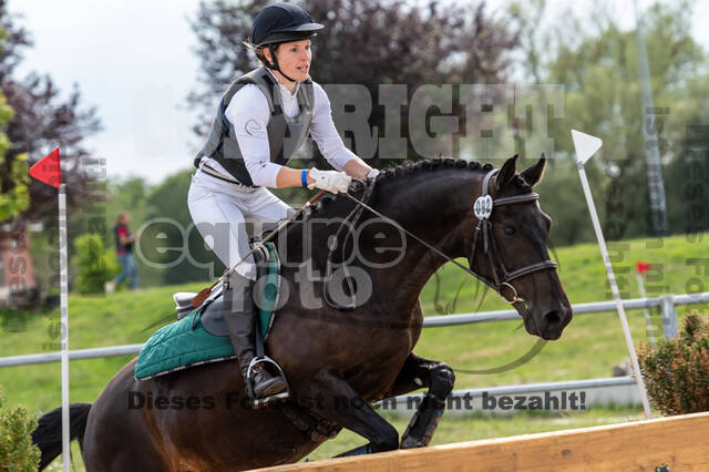 Late-Entry-Vielseitigkeit Langenfeld (06.+07.07.2020)