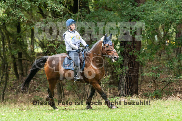 Vielseitigkeit RSV Wesel Obrighoven (26.+27.09.2020)