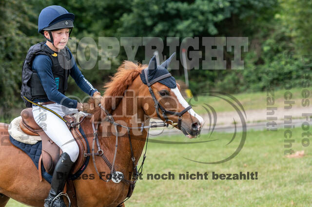 Late-Entry-Vielseitigkeit Langenfeld (11.+13./14.06.2020)