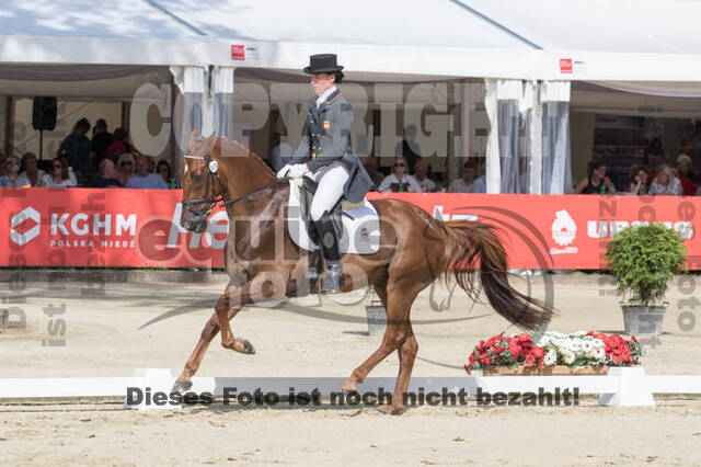 FEI European Championship Eventing 2017