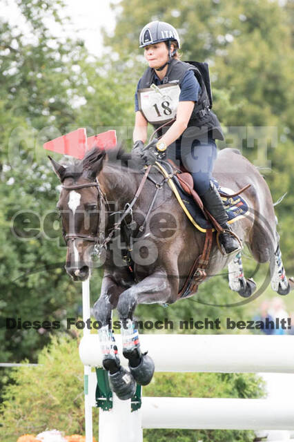 FEI European Championship