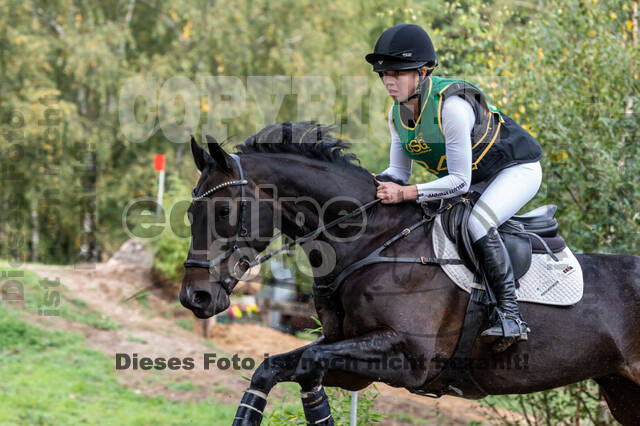 Vielseitigkeit RSV Wesel Obrighoven (26.+27.09.2020)