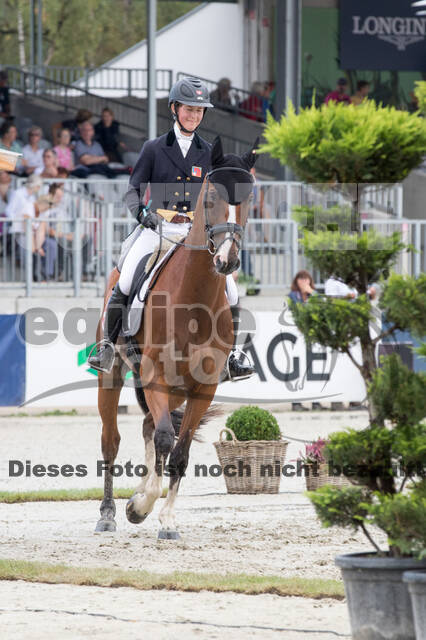 FEI European Championship Eventing 2019