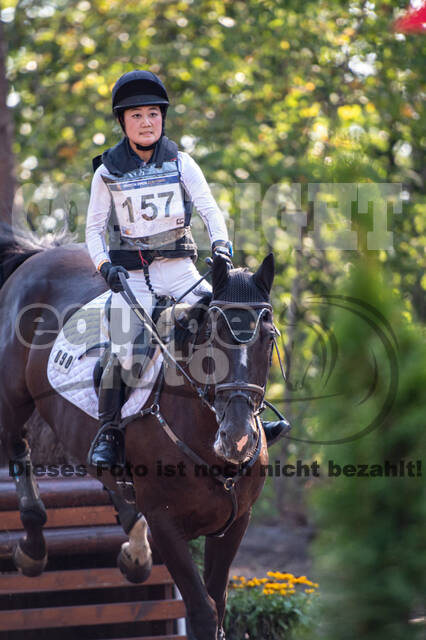 De Peelbergen (August 2020)