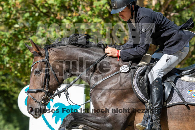 RFV Dinslaken-Hiesfeld (Herbstturnier)