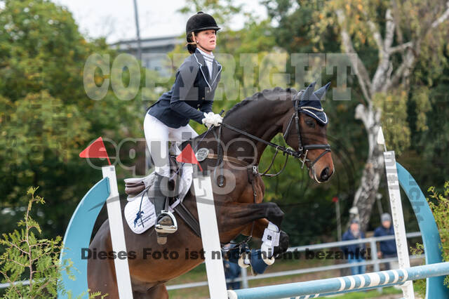 Reiter Schleswig-Holstein