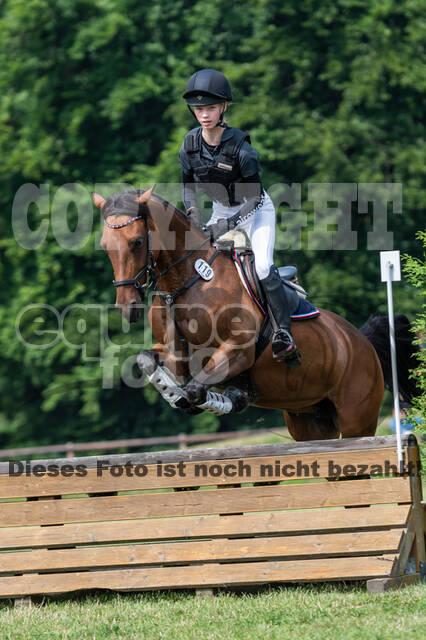 Goldene Schärpe 2021 - Ponys