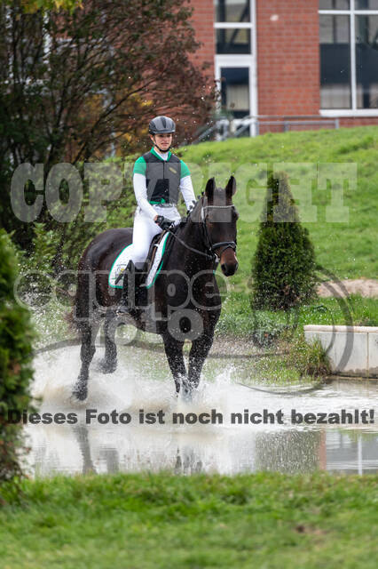 Goldene Schärpe 2020 - Pferde