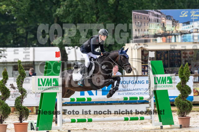 Goldene Schärpe 2021 - Ponys