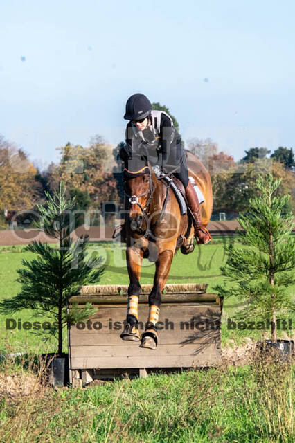 Vielseitigkeitslehrgang mit Jürg Kurbel (9.+10.11.2019)