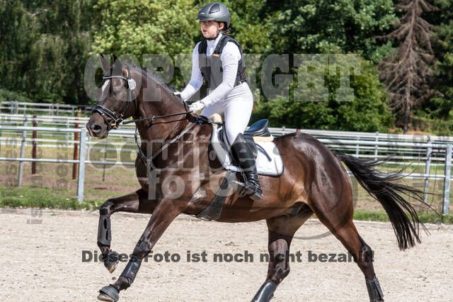 Late-Entry-Vielseitigkeit Langenfeld (06.+07.07.2020)