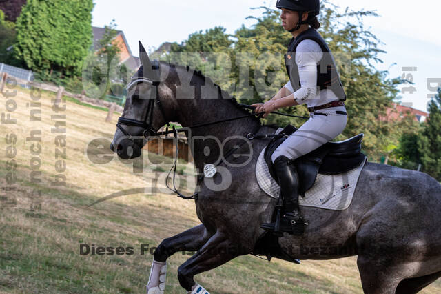 Late-Entry Vielseitigkeit Hamminkeln/Wesel (01.+02.08.2020)