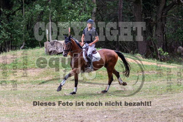 Late-Entry Vielseitigkeit Hamminkeln/Wesel (01.+02.08.2020)