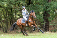 Vielseitigkeit RSV Wesel Obrighoven (26.+27.09.2020)