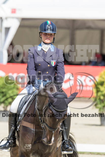 FEI European Championship