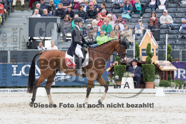 FEI European Championship Eventing 2019