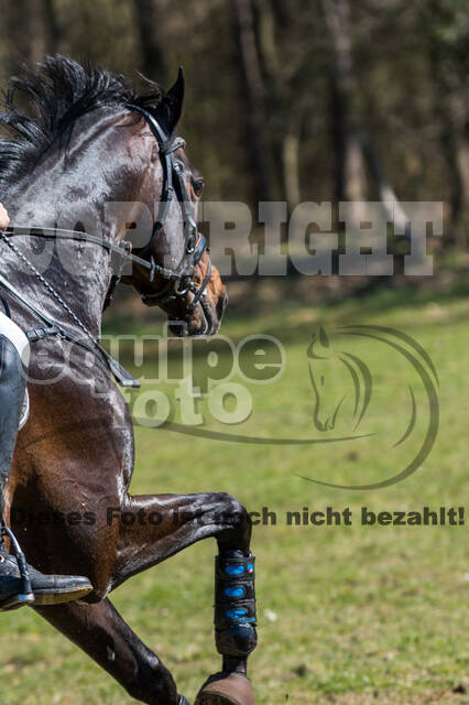 Geländetage beim RSV St. Hubertus Wesel Obrighoven (26.+27.03.2022)