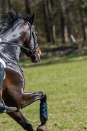 Geländetage beim RSV St. Hubertus Wesel Obrighoven (26.+27.03.2022)
