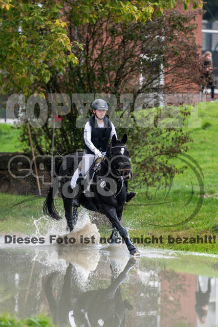 Goldene Schärpe 2020 - Pferde