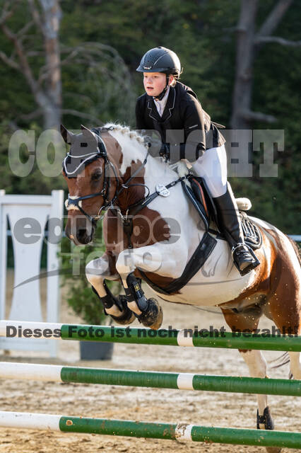 RFV Dinslaken-Hiesfeld (Herbstturnier)