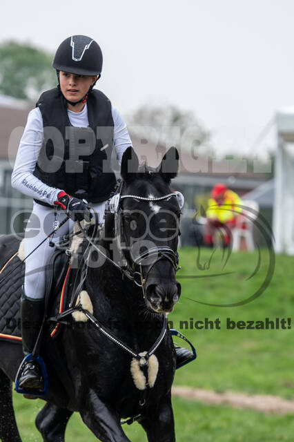 Goldene Schärpe 2020 - Pferde