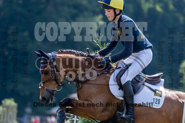 Goldene Schärpe 2021 - Ponys