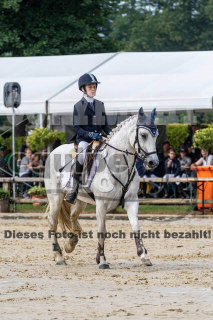 Goldene Schärpe 2021 - Ponys