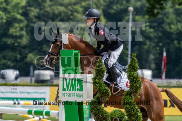 Goldene Schärpe 2021 - Ponys