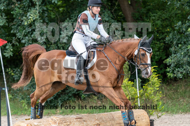 Late-Entry-Vielseitigkeit Langenfeld (06.+07.07.2020)