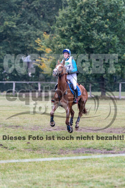 Deutsche Meisterschaft Vielseitigkeit (Luhmühlen)