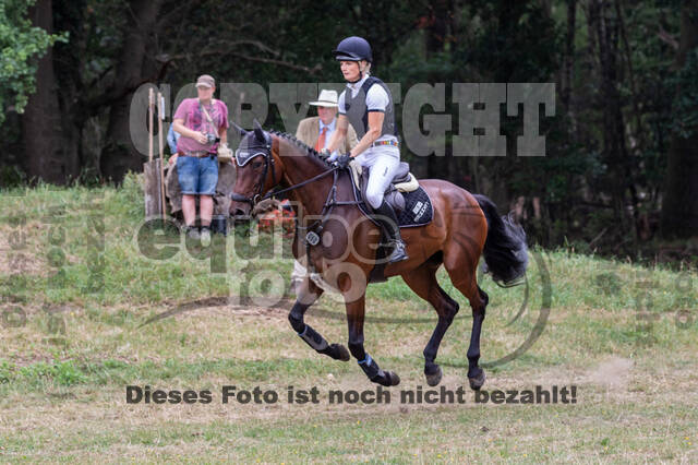 Late-Entry Vielseitigkeit Hamminkeln/Wesel (01.+02.08.2020)