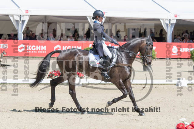 FEI European Championship