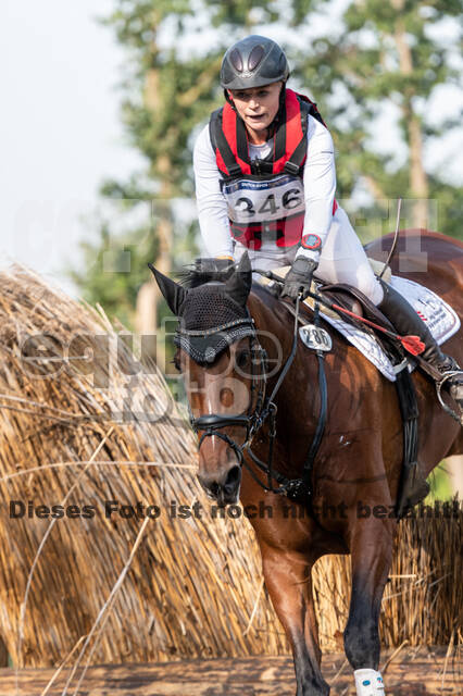 De Peelbergen (August 2020)