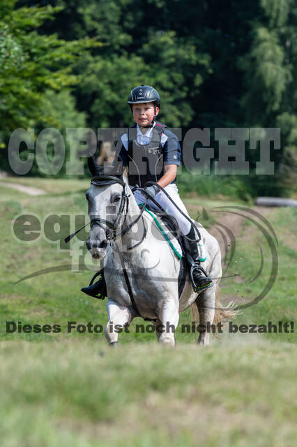 Goldene Schärpe 2021 - Ponys