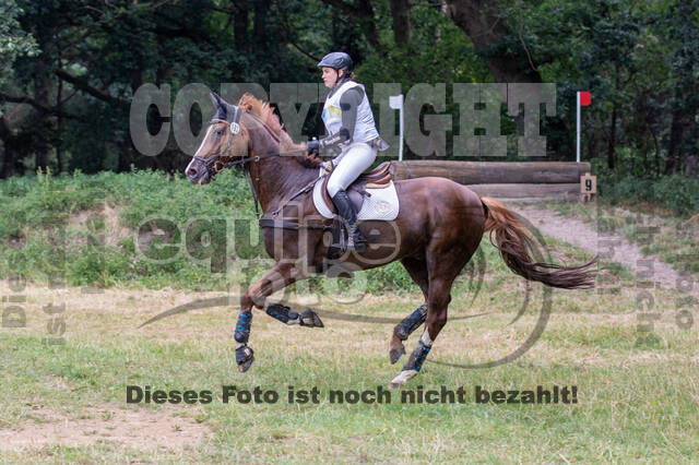 Late-Entry Vielseitigkeit Hamminkeln/Wesel (01.+02.08.2020)