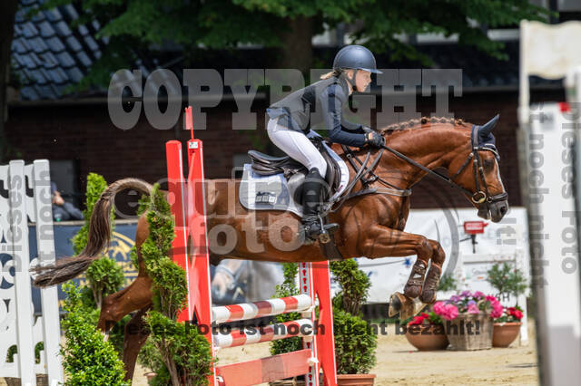 Goldene Schärpe 2021 - Ponys